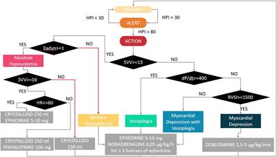 Hypotension prediction index decision support system: a new model for decision support in hemodynamic management